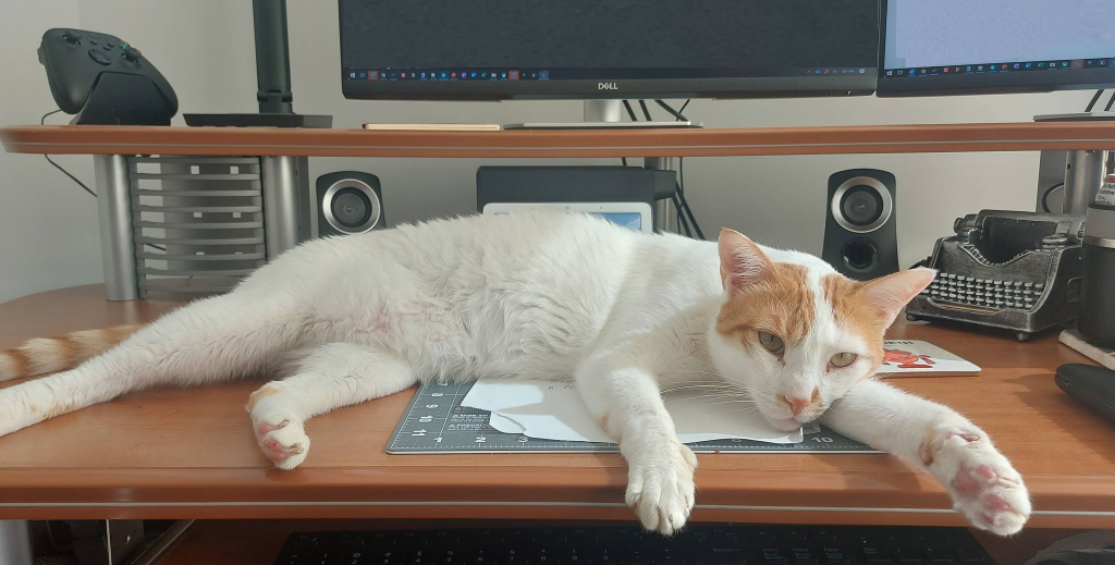 A cute cat lying on a desk to prevent me from working. He's white with a few patches of ginger.